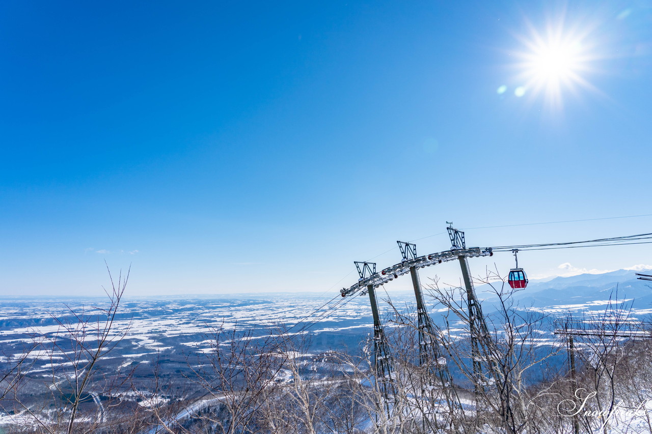 十勝サホロリゾート 快晴の空の下、極上の粉雪クルージングバーンを心ゆくまで味わう１日(*^^*)